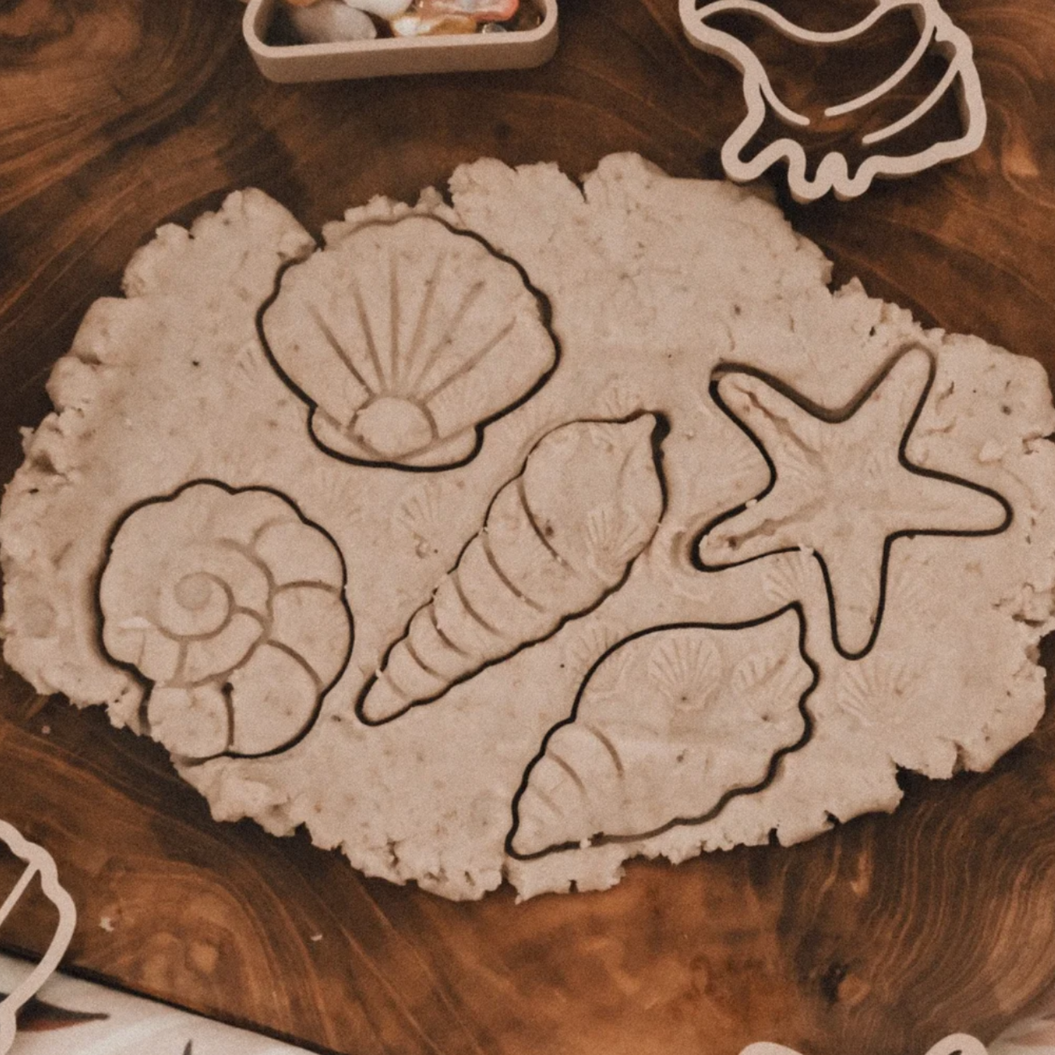 Seashell Eco Cutter Set