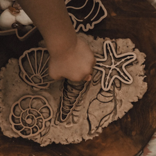 Seashell Eco Cutter Set