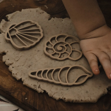 Seashell Eco Cutter Set