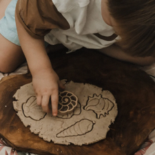 Seashell Eco Cutter Set