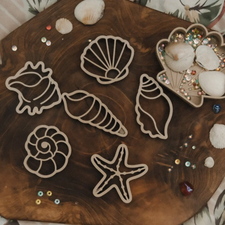 Seashell Eco Cutter Set