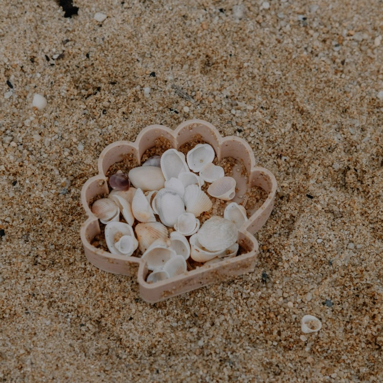 Sea Shell Eco Mould