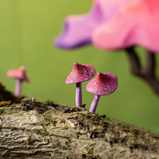 Bumbu Toys Wooden Magic Mushroom Set