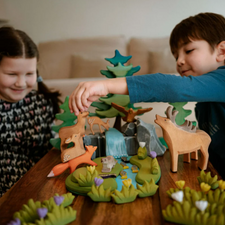 River Plate, Waterfall and Mossy Rocks Set | Wooden Toy