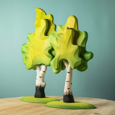 Large Wooden Birch Tree