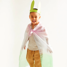 Silk Bunny Ears (Soft Rainbow)
