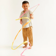 Limited Edition Large Streamer (Hummingbird Pink)