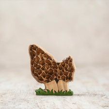 Wooden Caterpillar Morel Mushrooms Figure