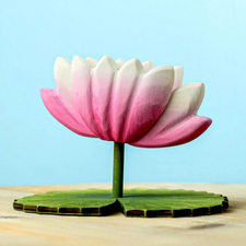 Lotus Flower