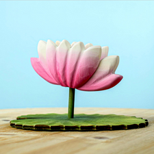 Lotus Flower