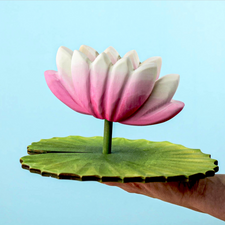 Lotus Flower