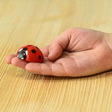 Bumbu Toys Ladybug