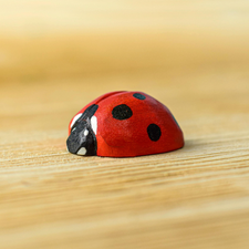Wooden Ladybug