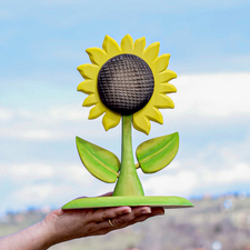Large Sunflower