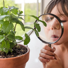 Children's Magnifying Glass