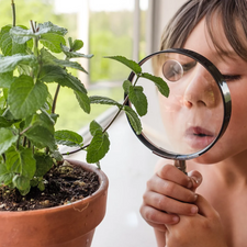 Moulin Roty Children's Magnifying Glass