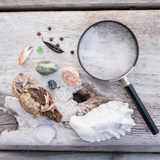 Children's Magnifying Glass