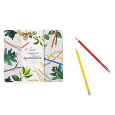 Watercolour Pencils (Set of 24)