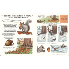 Slow Down - 50 Mindful Moments in Nature | Hardcover