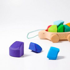 Grimm's Pull Along Turtle with Rainbow Building Blocks