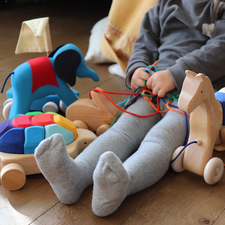 Grimm's Pull Along Turtle with Rainbow Building Blocks