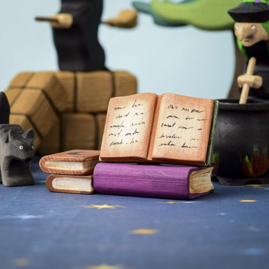 Spell Books Set | Halloween Toy (Set of 4)