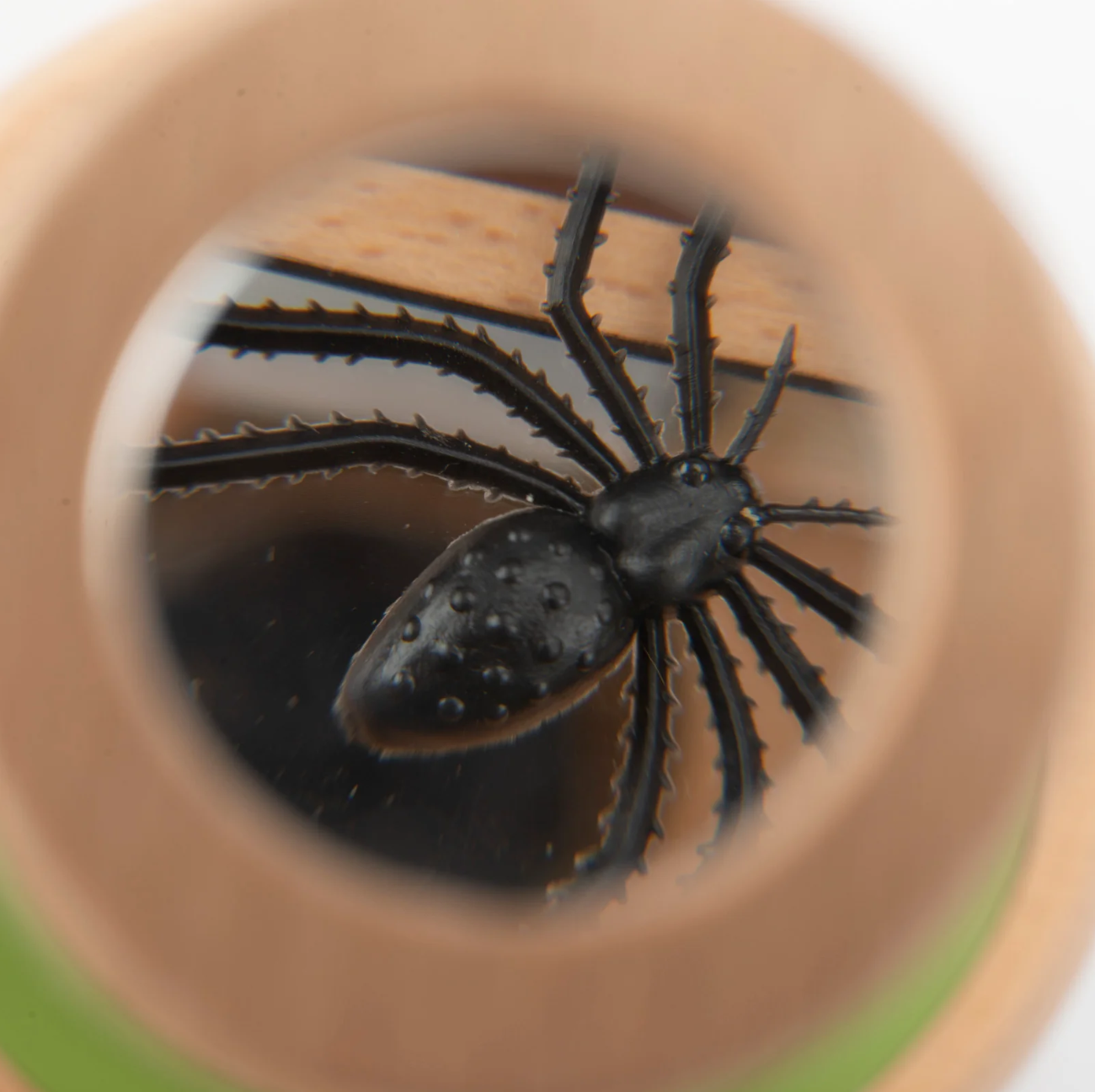 Le Botaniste - Observation Box (Large)