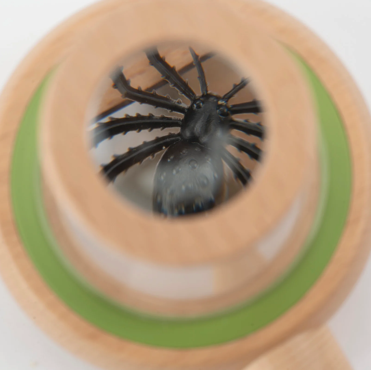 Le Botaniste - Observation Box (Large)