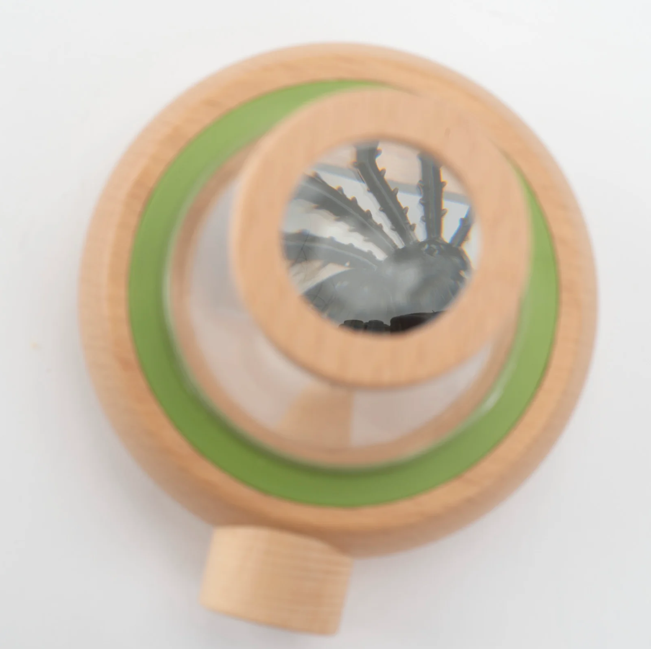 Le Botaniste - Observation Box (Large)