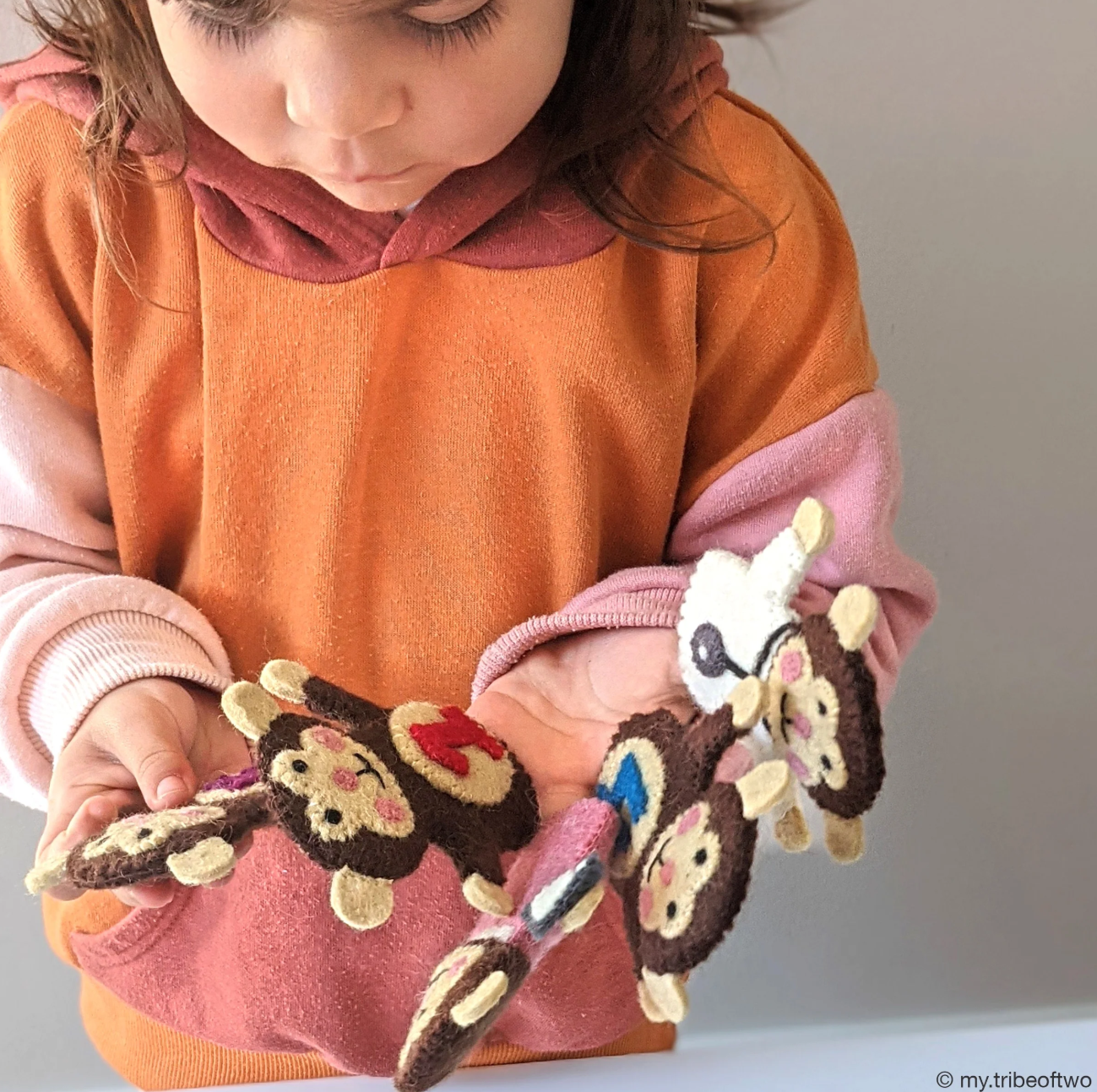 Five Little Monkeys Finger Puppets Set