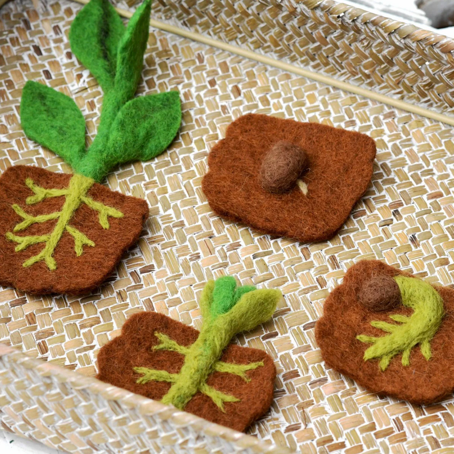 Felt Life Cycle of a Bean Plant (Playmat Sold Separately)