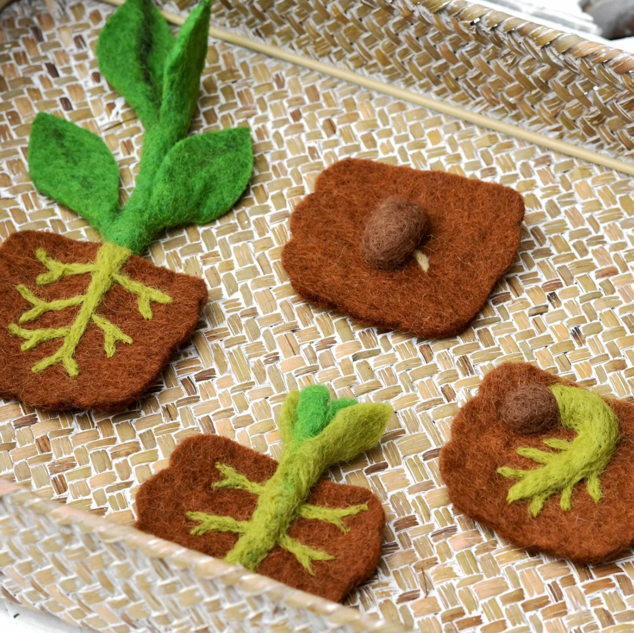 Felt Life Cycle of a Bean Plant (Playmat Sold Separately)