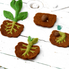 Felt Life Cycle of a Bean Plant (Playmat Sold Separately)