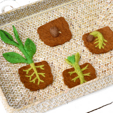 Felt Life Cycle of a Bean Plant (Playmat Sold Separately)