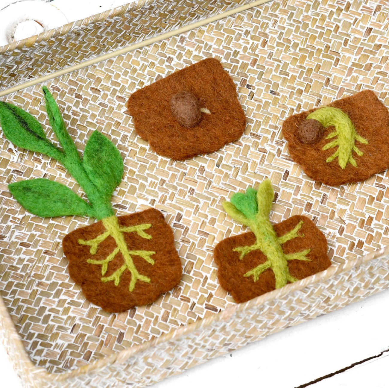 Felt Life Cycle of a Bean Plant (Playmat Sold Separately)