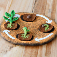Felt Life Cycle of a Bean Plant (Playmat Sold Separately)