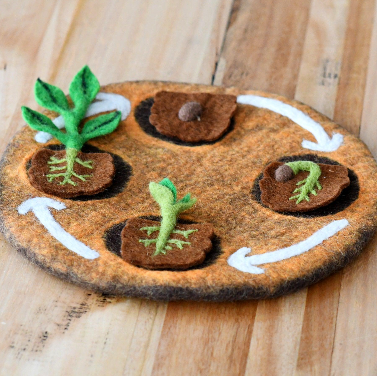 Felt Life Cycle of a Bean Plant (Playmat Sold Separately)