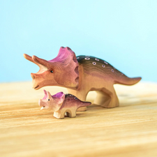 Baby Triceratops Dinosaur