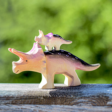 Baby Triceratops Dinosaur