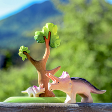 Baby Triceratops Dinosaur