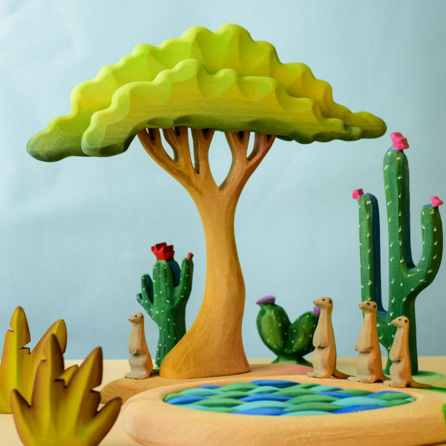 Large Acacia Tree