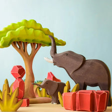 Large Acacia Tree