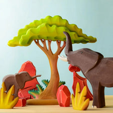 Large Acacia Tree