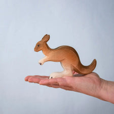PRE-ORDER Kangaroo Family (Set of 4)