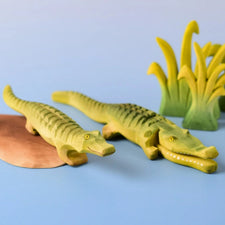 PRE-ORDER Crocodile Cove Set