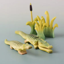 PRE-ORDER Baby Crocodile