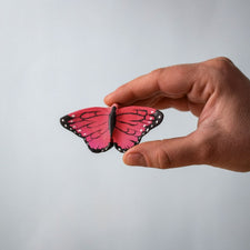 Pink Butterfly
