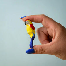 Scarlet Macaw Parrot
