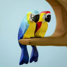 Blue Macaw Parrot