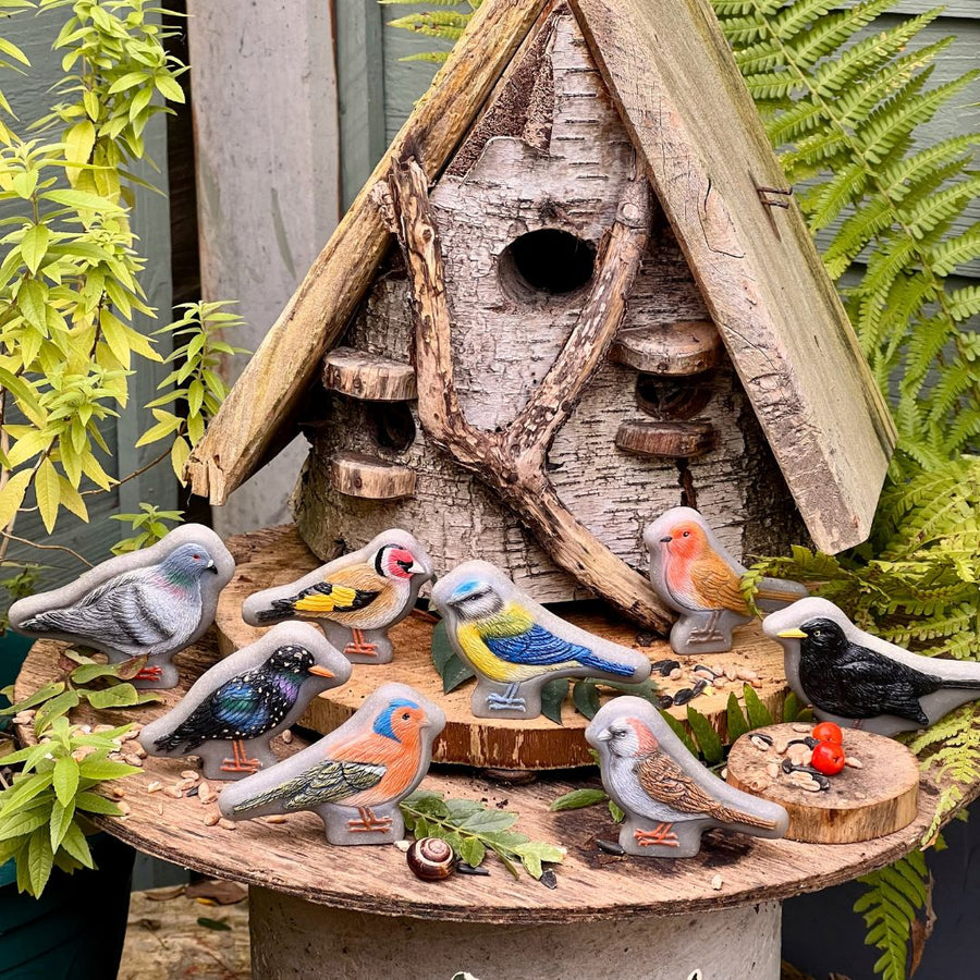 Play Stones (Birds)